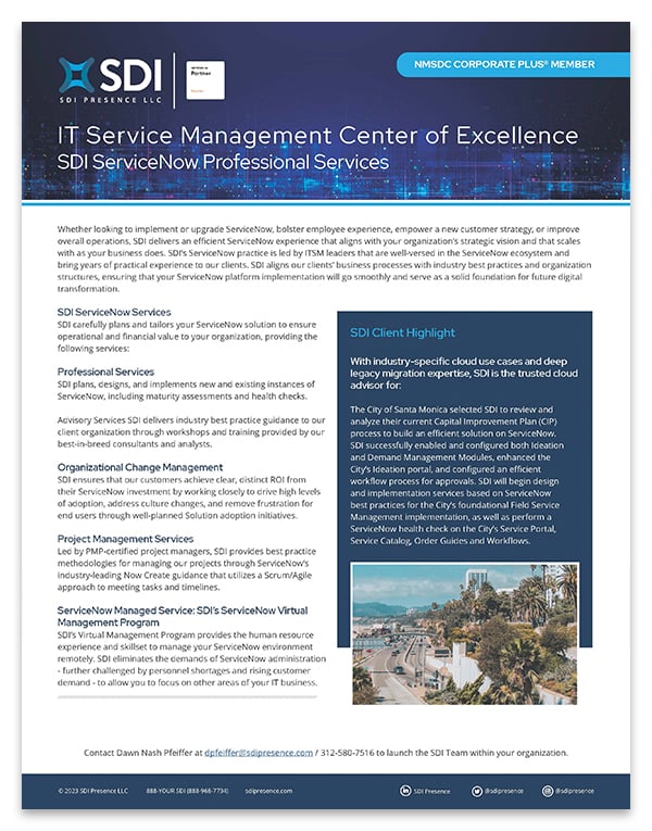 ServiceNow Professional Services